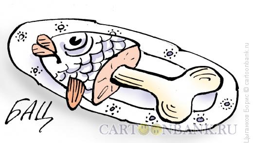 Карикатура: Ни рыба, ни мясо, Цыганков Борис