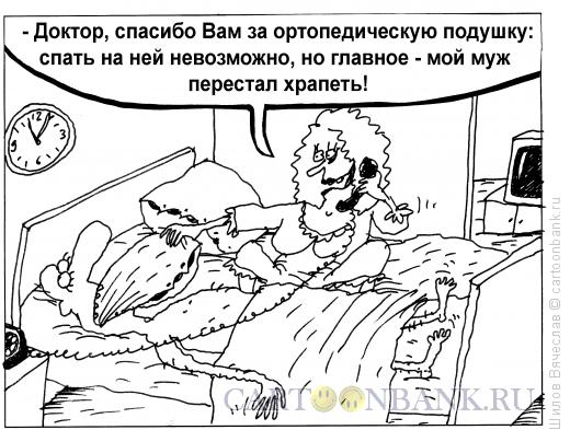 Карикатура: Подушка, Шилов Вячеслав