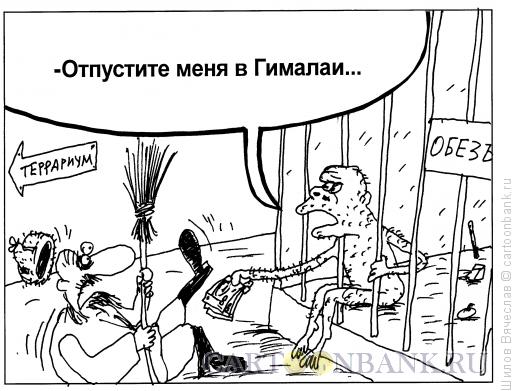 Карикатура: Взятка, Шилов Вячеслав