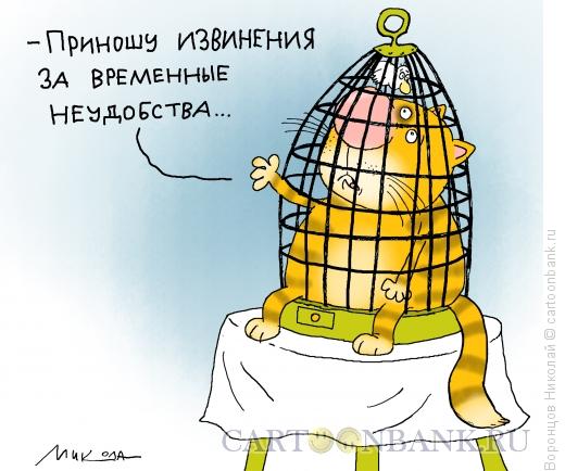 Карикатура: Неудобства, Воронцов Николай