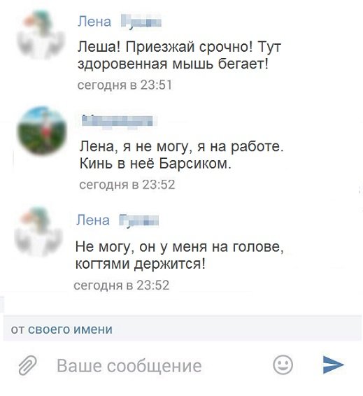 Мем, Кузякин