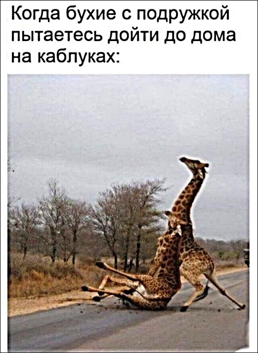 Мем