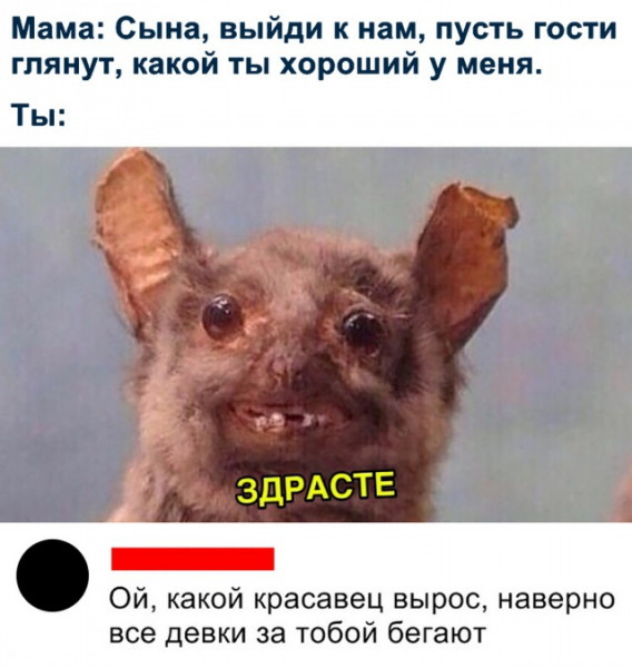 Мем, Дед Макар