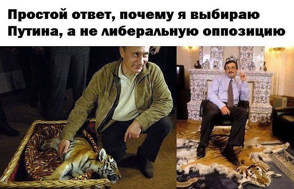 Мем, Кот Отморозкин