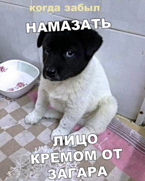 Мем