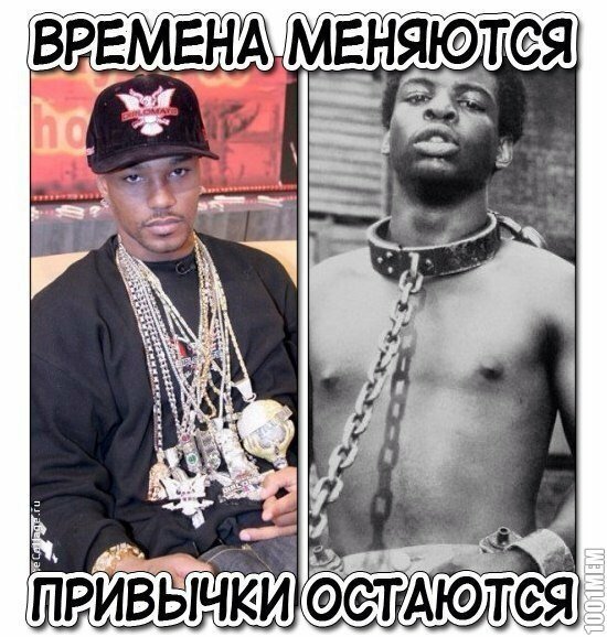 Мем, Дыня