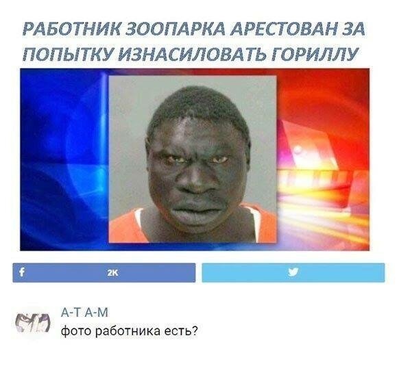 Мем, Дыня