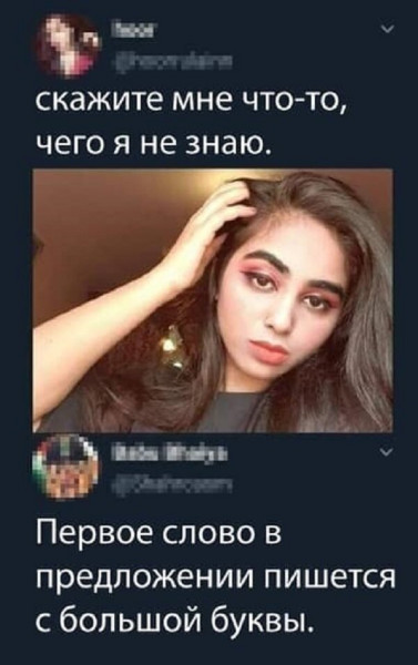 Мем, Дыня