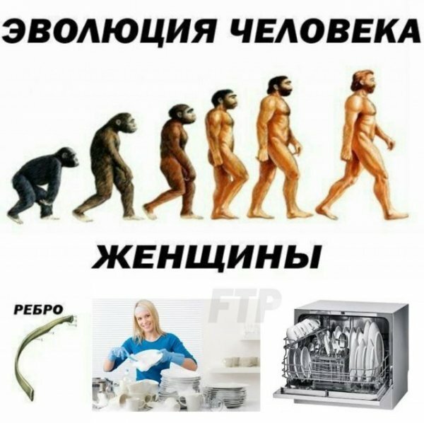 Мем, Дыня