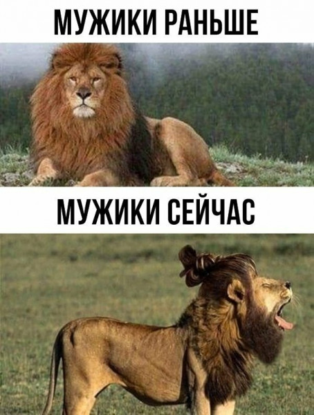 Мем, Дыня