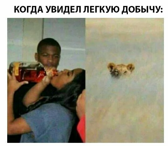 Мем, Дыня