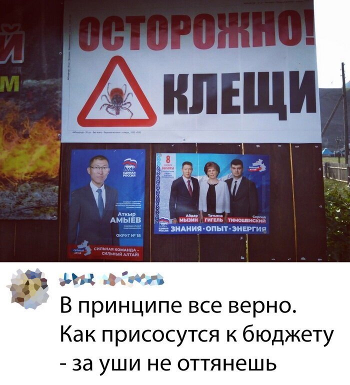 Мем, Дыня