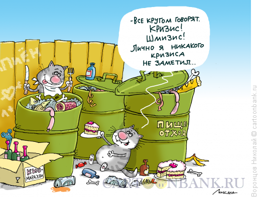 Карикатура: Кризис, Воронцов Николай