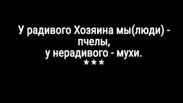 Мем: Иронично о разном