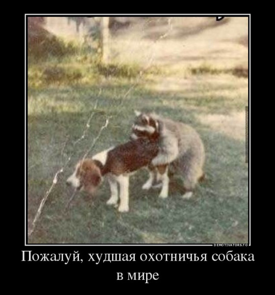 Мем, Кот Отморозкин
