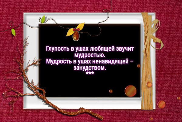 Мем: С иронией о разном, Владимир Олишевский