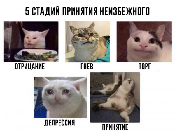 Мем, Кот Отморозкин