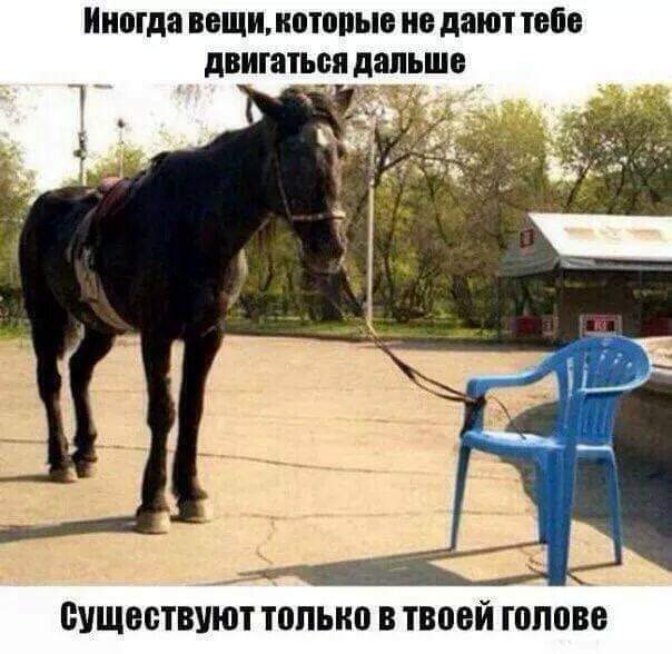Мем, Andrews Мем, Andrews