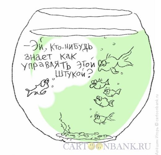 Карикатура: боевая рыбка, Алёшин Игорь
