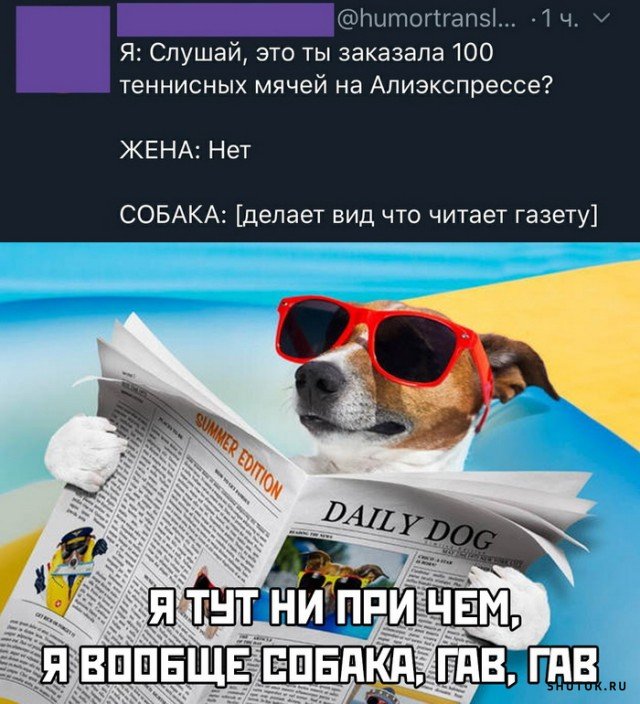 Мем, Джокер