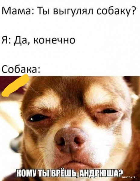 Мем, Джокер