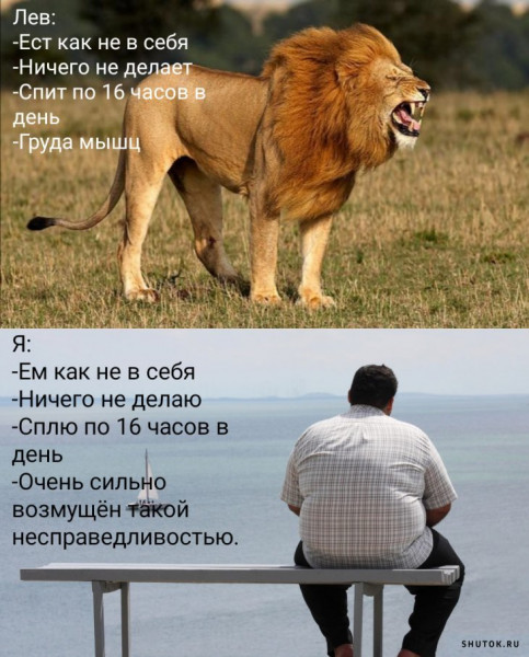 Мем, Джокер