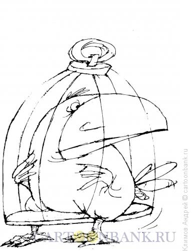 Карикатура: Про птиц, Климов Андрей