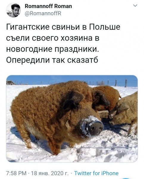 Мем, Кот Отморозкин