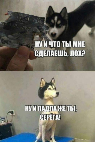 Мем