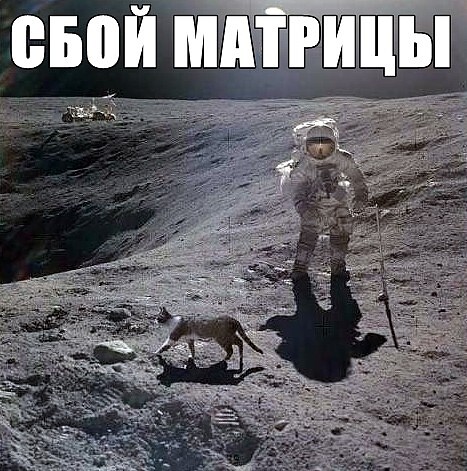 Мем, Юрий Небольсин