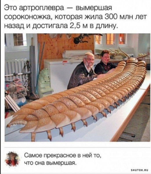 Мем, Джокер