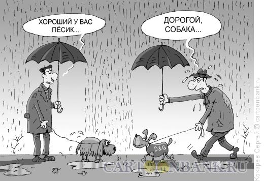 Карикатура: песик, Кокарев Сергей