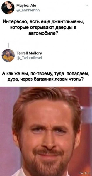 Мем, Рысь