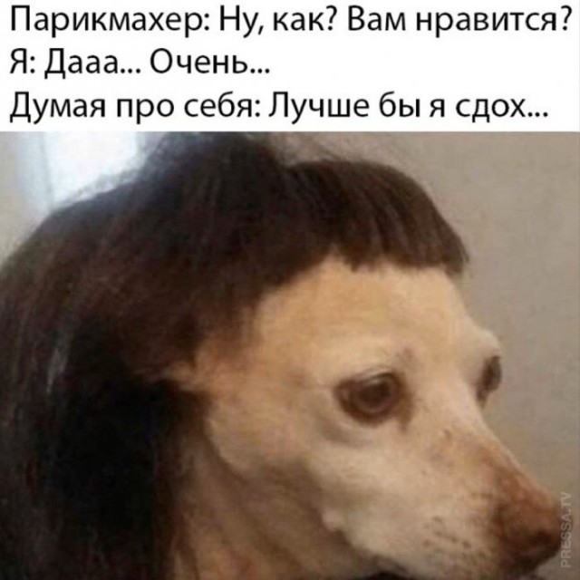 Мем, fghjkl