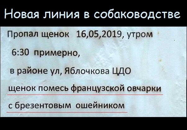 Мем, Малютка Бо Пип