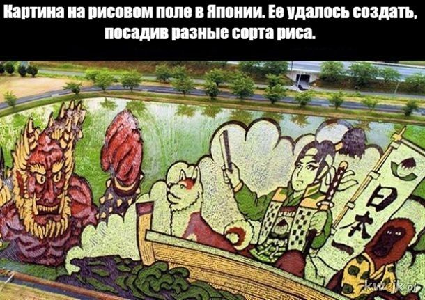 Мем, Рысь