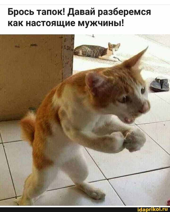 Мем