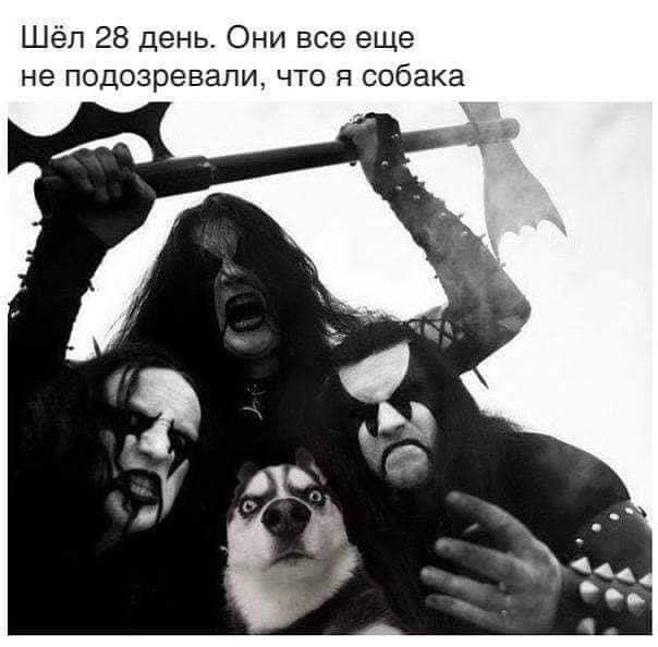 Мем