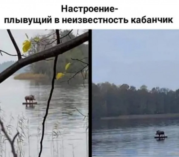 Мем: с наступающим Мем: с наступающим