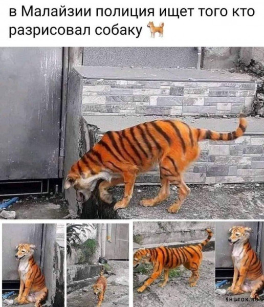 Мем, Джокер