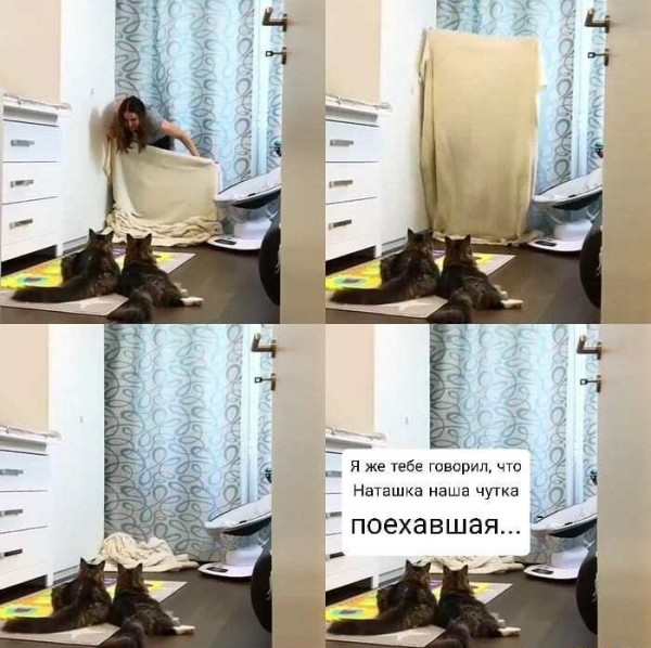 Мем