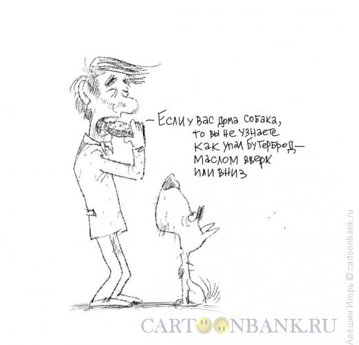 Карикатура: Как падает бутербород?, Алёшин Игорь