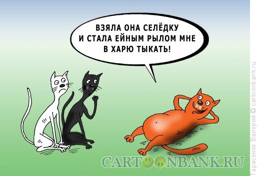 Карикатура: Котяра, Тарасенко Валерий