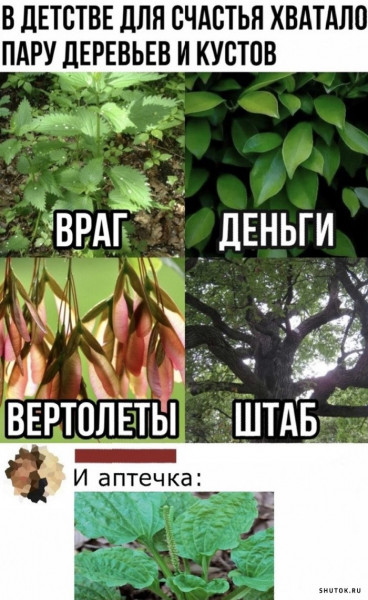 Мем, Джокер