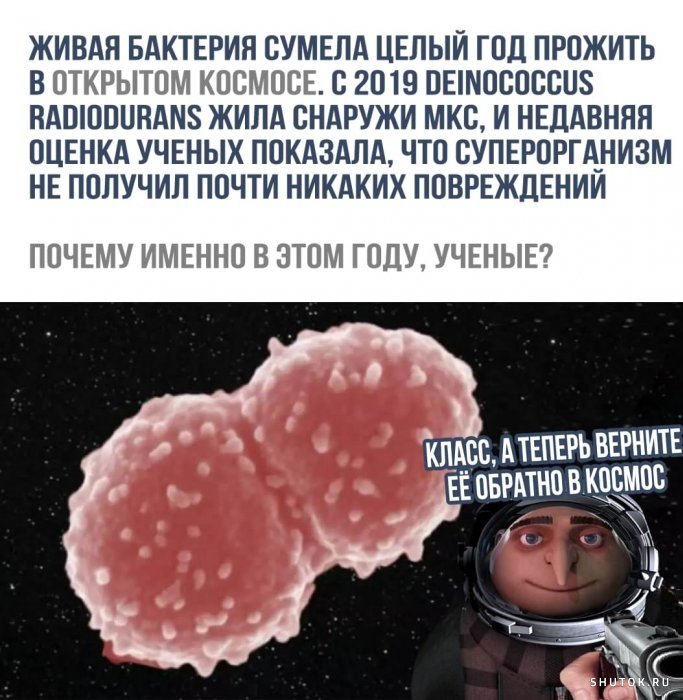 Мем, Джокер