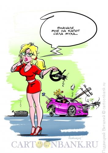 Карикатура: Блондинка как помощник, Подвицкий Виталий