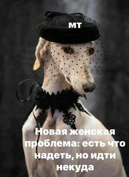 Мем, YV