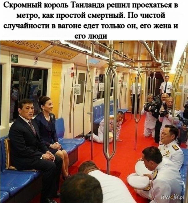 Мем, Рысь