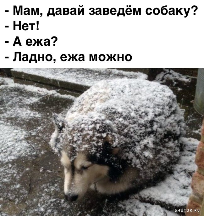 Мем, Джокер