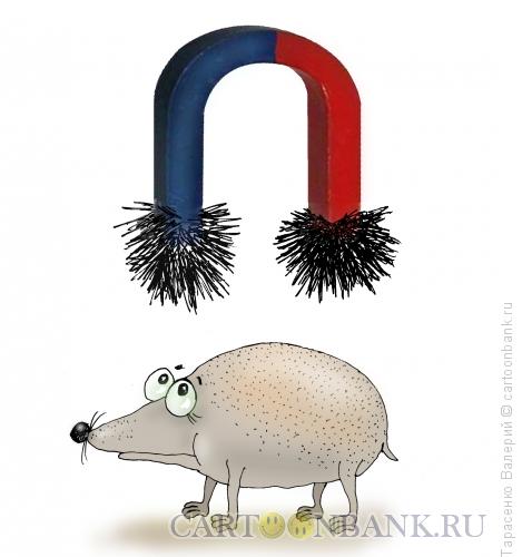 Карикатура: Иголки, Тарасенко Валерий